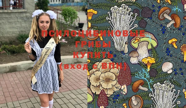 альфа пвп Алексеевка