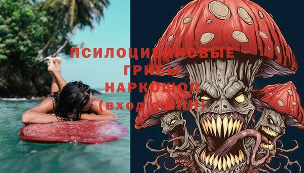 альфа пвп Алексеевка