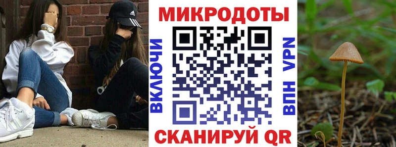 Галлюциногенные грибы GOLDEN TEACHER Нерехта